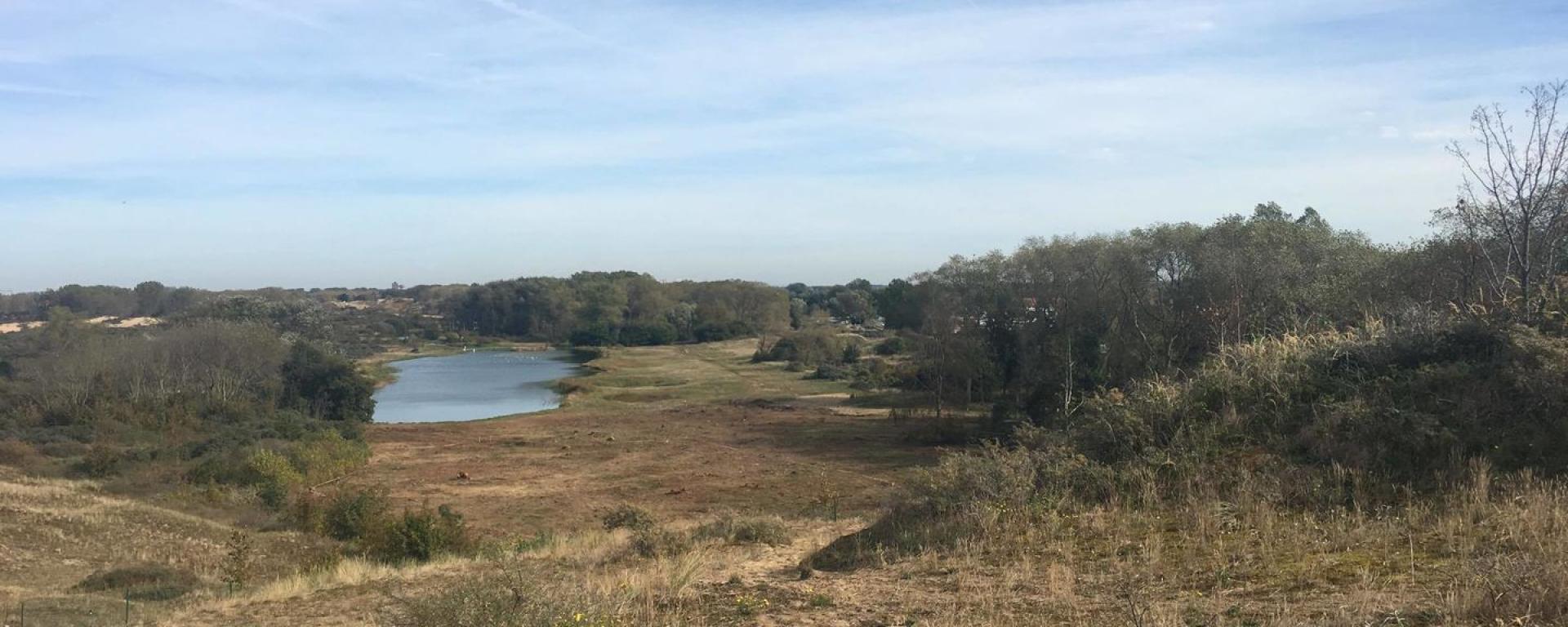 Casino Hotel Koksijde: Wandel en fietsroutes